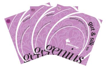 Galli Genius gut & silk 800