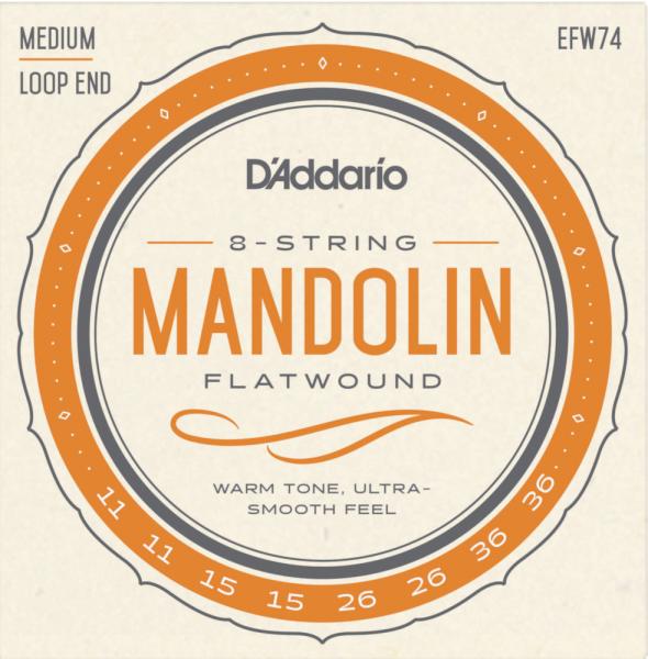 D'Addario EFW74 flatwound - loop End