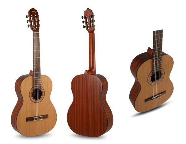 Manuel Rodriguez Tradicion T-62 - massive Zeder / Mahagoni